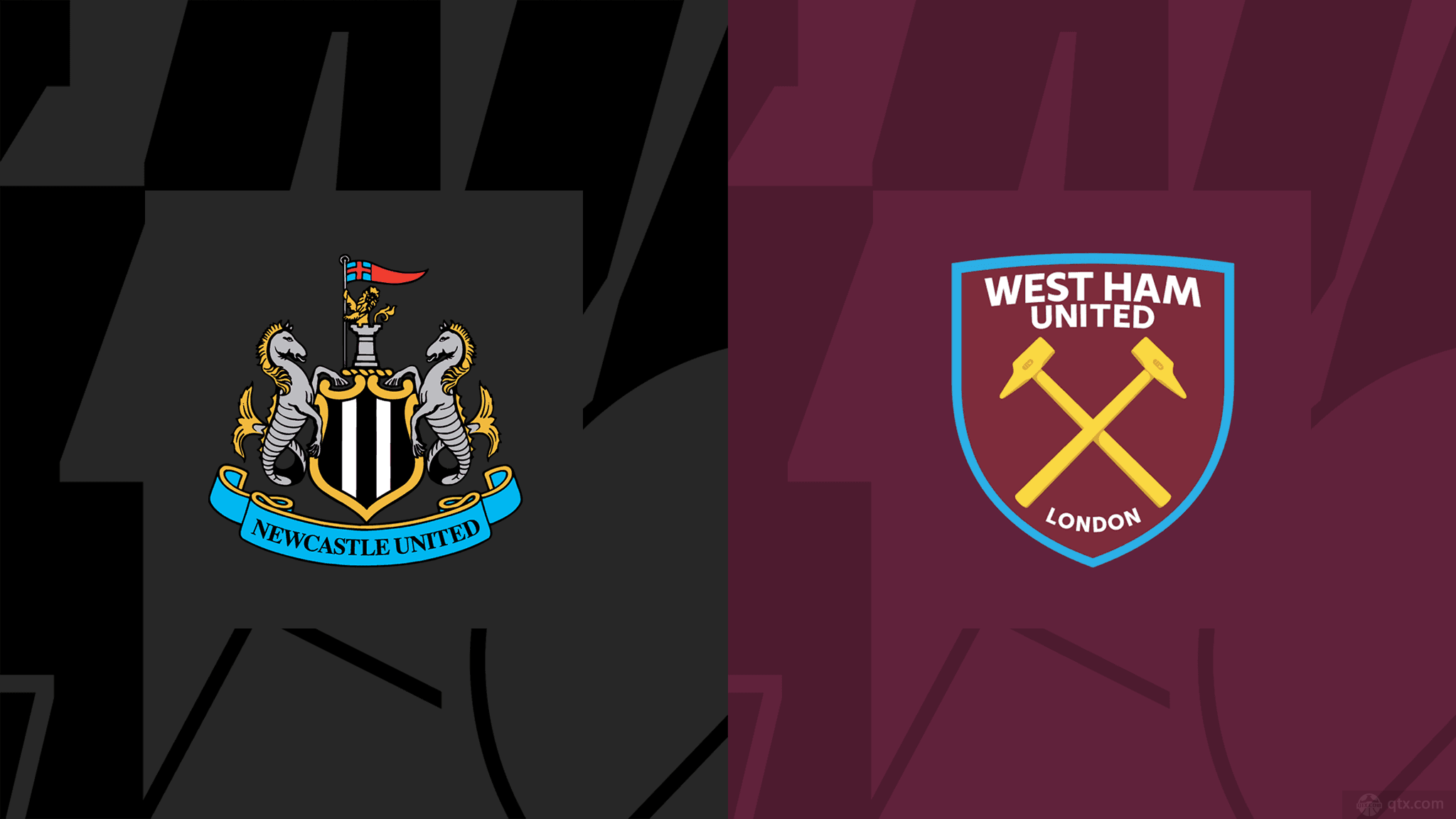 已经培养出 已经培养出